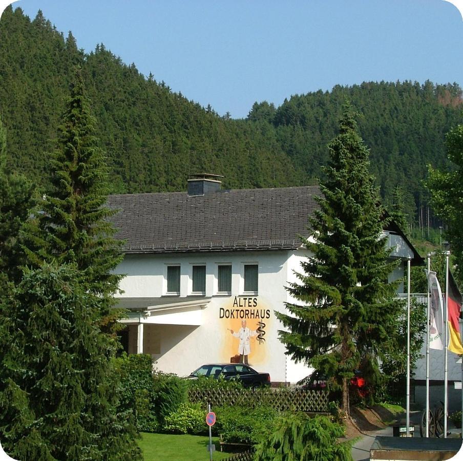 Altes Doktorhaus - Hotel Garni Willingen  Εξωτερικό φωτογραφία