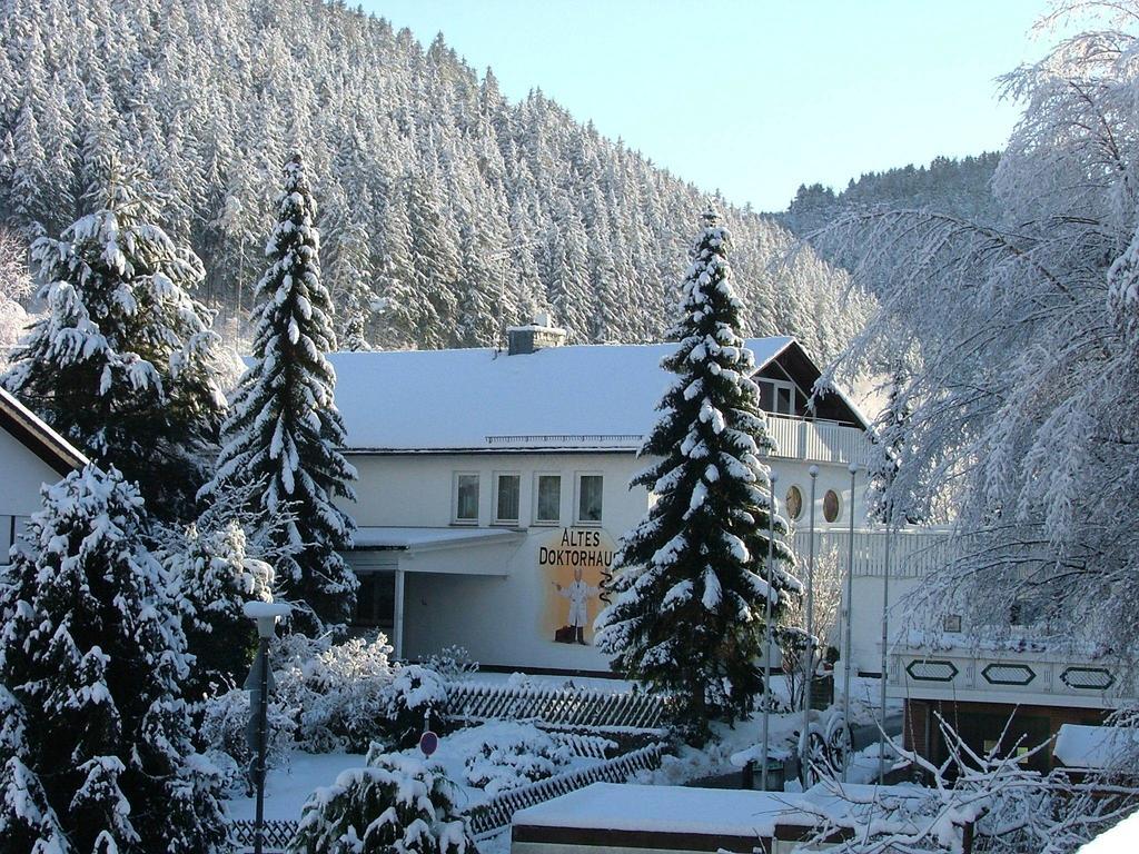 Altes Doktorhaus - Hotel Garni Willingen  Εξωτερικό φωτογραφία
